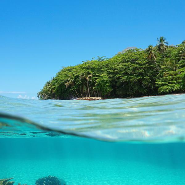 Lush tropical ocean 