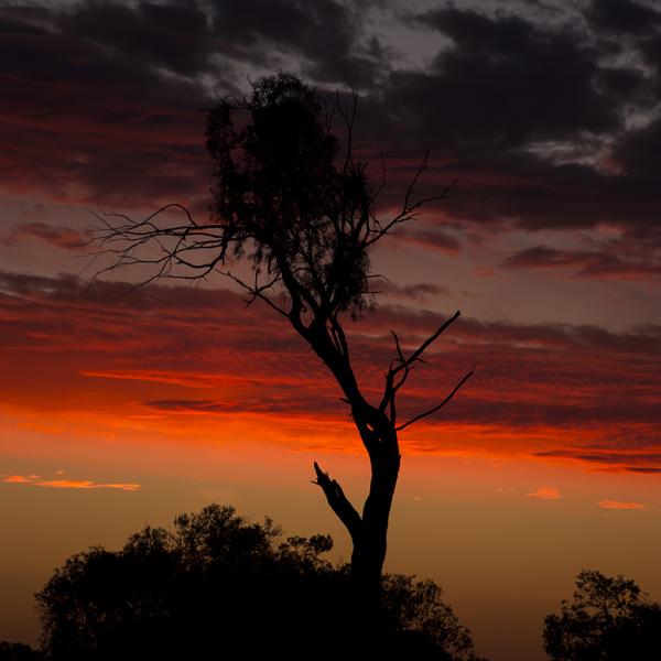Aboriginal Australia