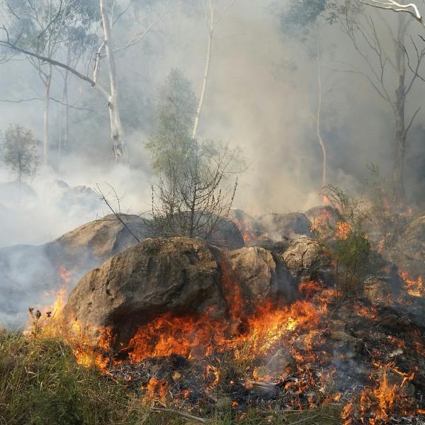 Fire on karst. Image courtesy Andrew Baker, NSW DPE