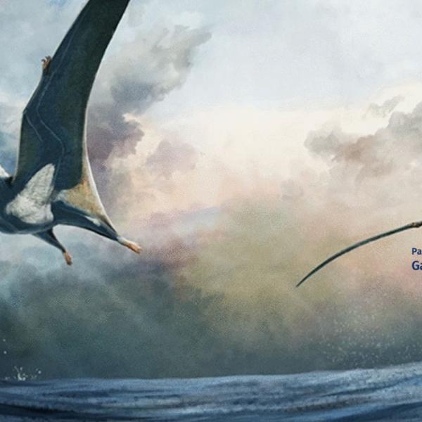 Palaeoart
