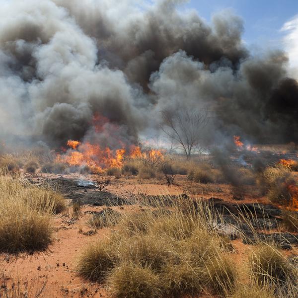 Controlled burning outback