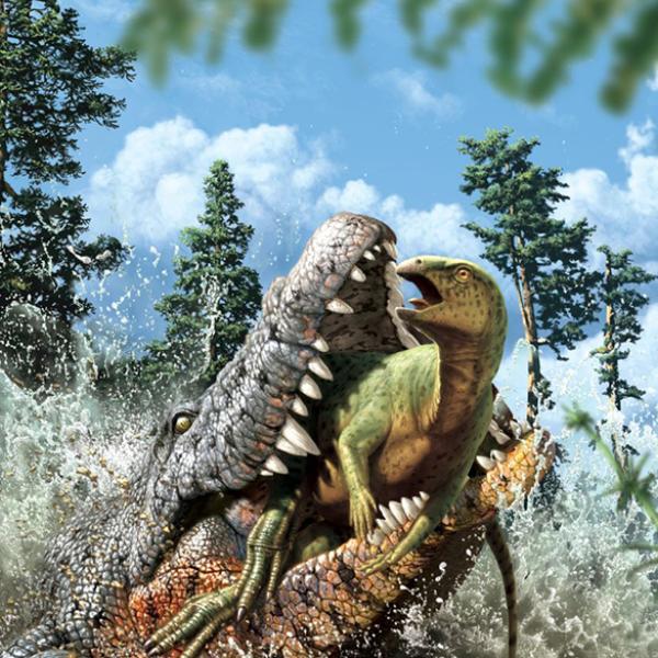 Crocodile eats dinosaur