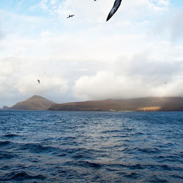 Sub Antarctic Islands