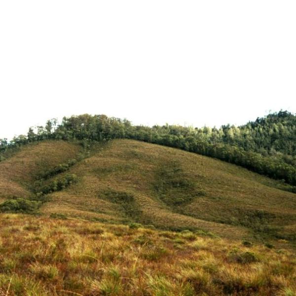Tasmania