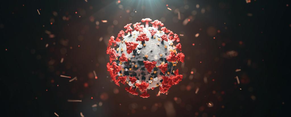 COVID virus