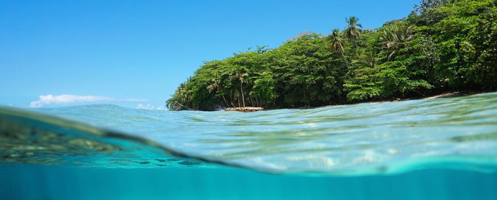 Lush tropical ocean