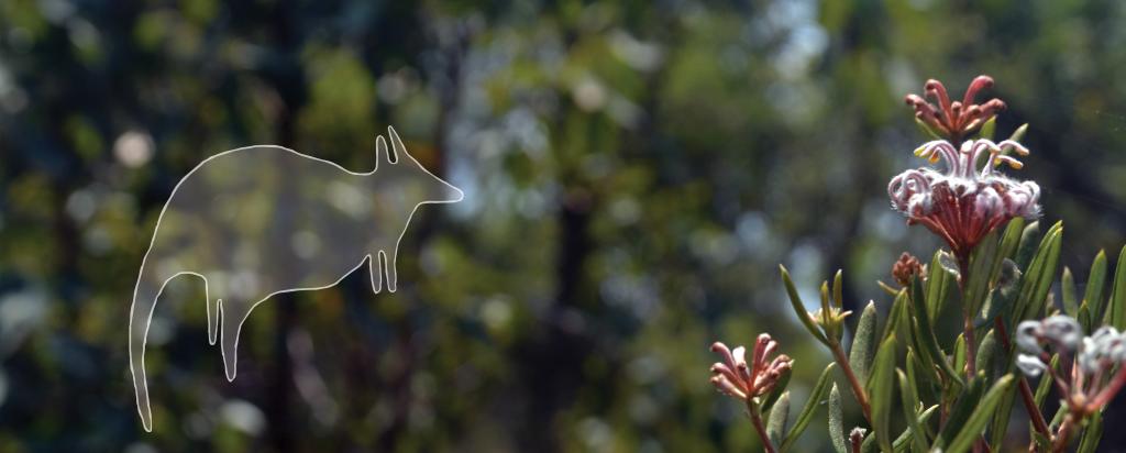 Indigenous knowledge linked to pollution data