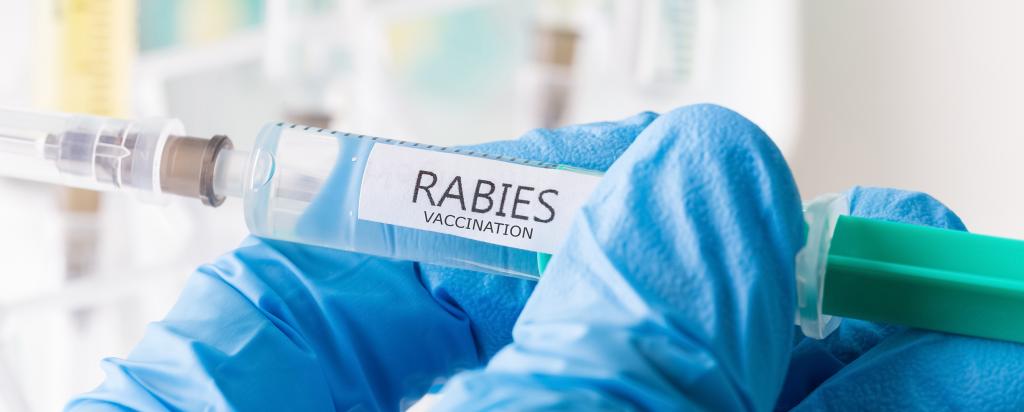 Rabies virus