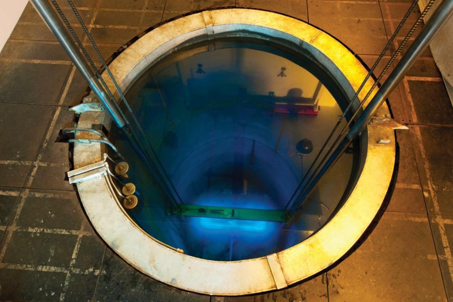 ANSTO Cobalt-60