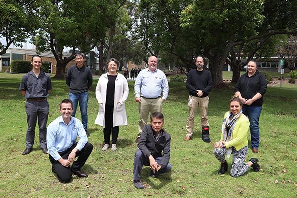 Nanomaterials team