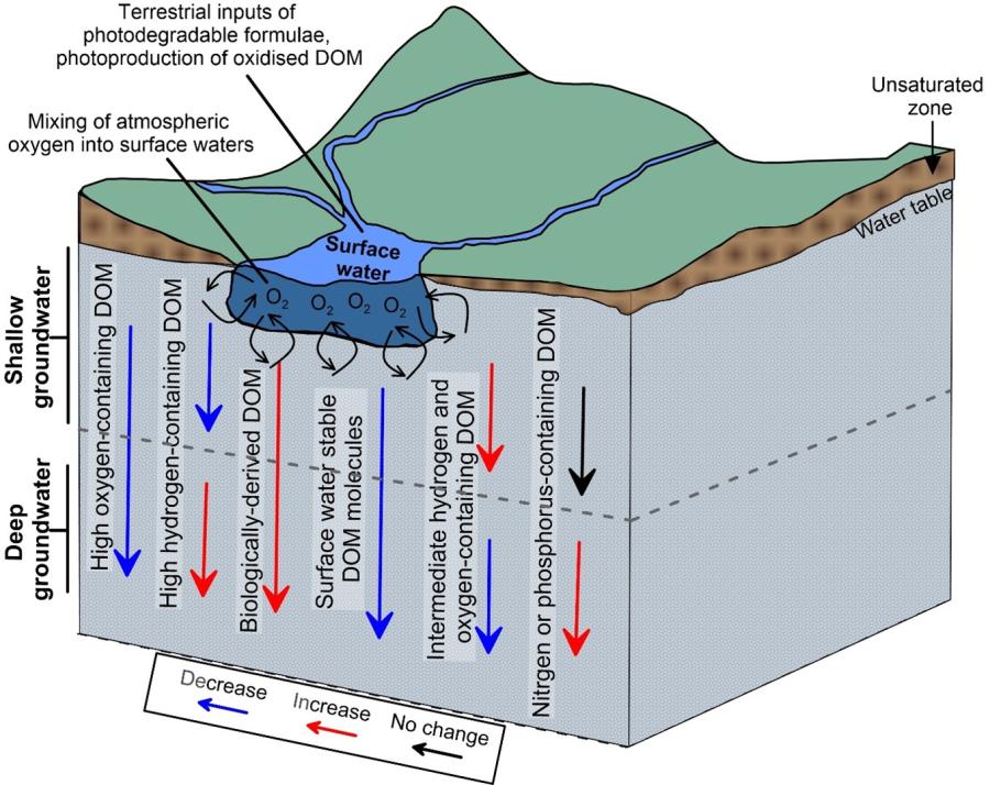 Framework to analyse carbon in groundwater